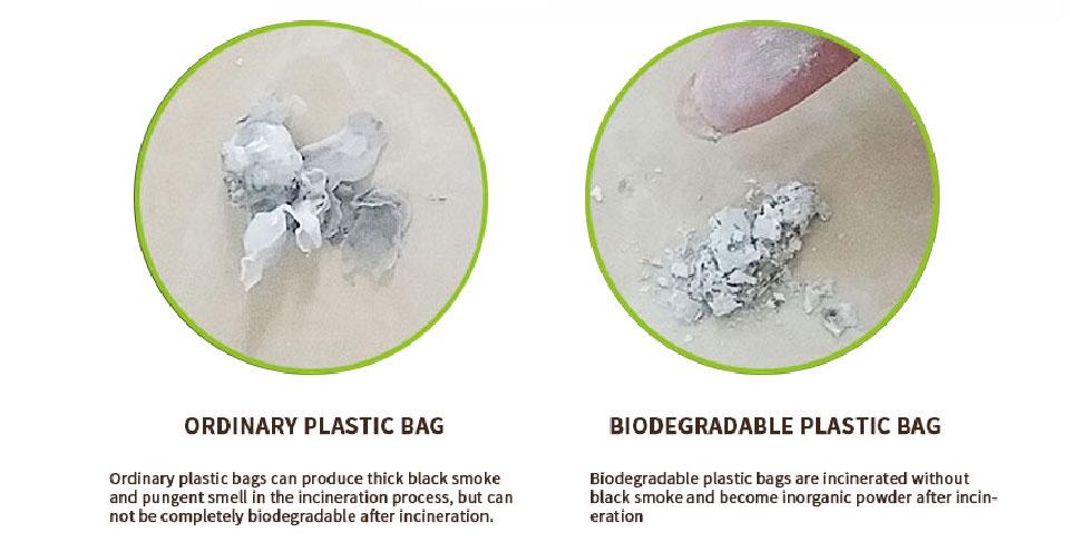 bolsa de plástico compostable