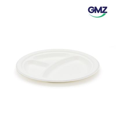 Sugarcane bagasse Sushi Tray